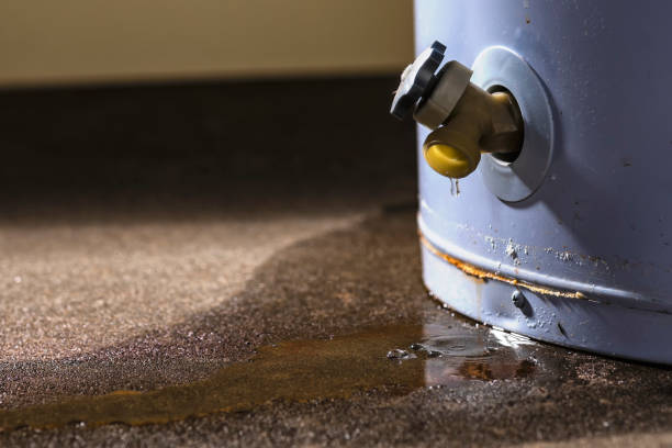 Best Sewage cleanup and water damage restoration  in Ashville, AL