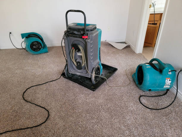 Best Residential water damage restoration  in Ashville, AL