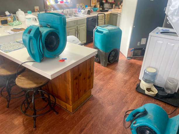 Best 24-hour water damage restoration  in Ashville, AL