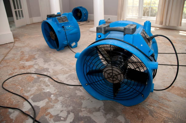 Best Water damage cleanup near me  in Ashville, AL