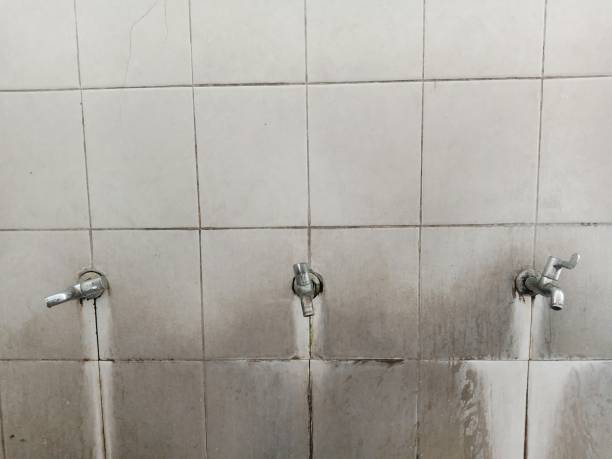 Best Water damage restoration near me  in Ashville, AL