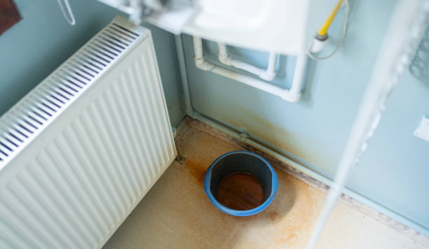 Best Professional water damage repair  in Ashville, AL